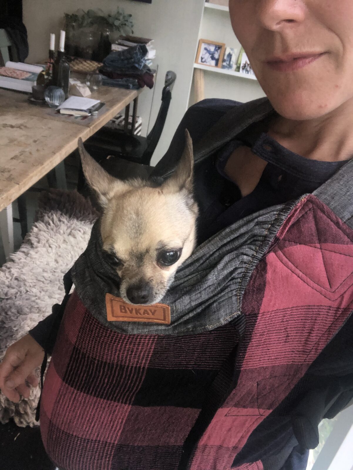 Dogsling
