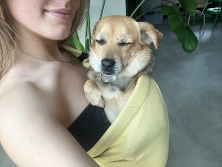 Dogsling