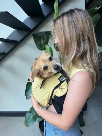 Dogsling